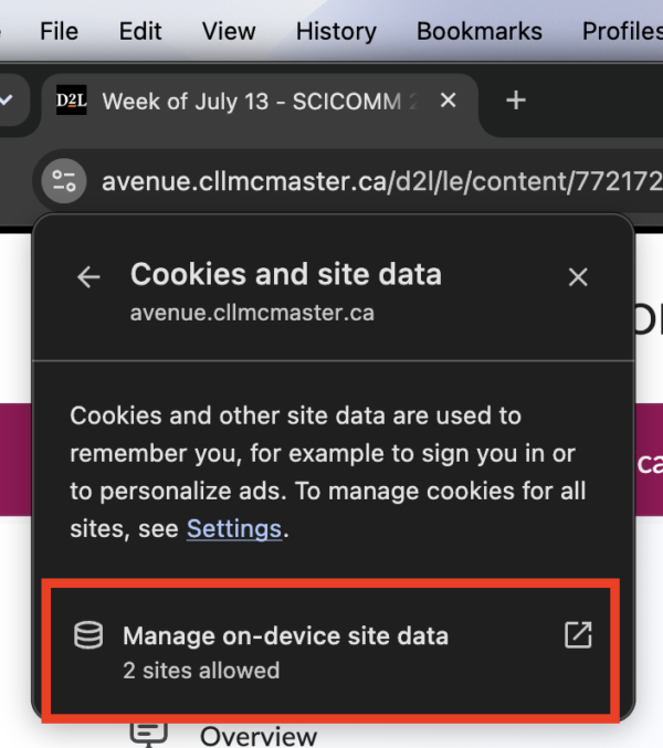 cookies and site data information